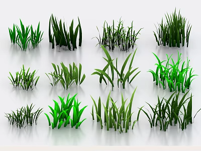3D Rendered Green Grass Plants With Various Shapes And Different Heights On White Background 3d model