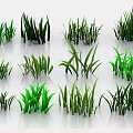 3D Rendered Green Grass Plants With Various Shapes And Different Heights On White Background