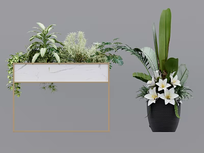 Bonsai Potted Plants Featuring Green Foliage White Flowers Black Pot and Marble Frame 3d model