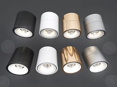 Modern Downlights and Spotlights in Black White Gold Silver Finishes 3d model