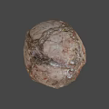 Round Brown Food Item With Cracked Textured Surface And Natural Organic Look