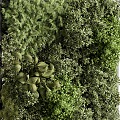 Modern Green Plant Wall Green Plant Pond Vine Plant Wall 3d model