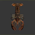 Vibrant Red Lobster With Glossy Shell And Open Claws On Black Surface