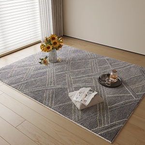 Modern Carpet Decoration 3d model