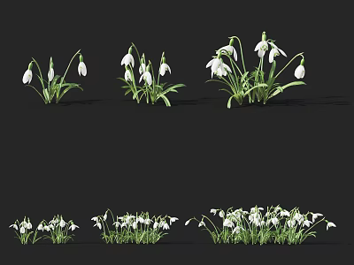 White Snowdrop Flowers With Green Leaves In Different Natural Clusters Arrangement 3d model