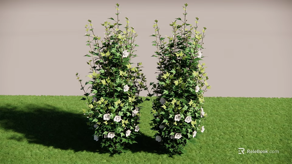 Two Tall Shrubs With White Flowers And Green Leaves On Green Grass 3d model 