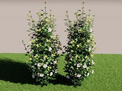 Two Tall Shrubs With White Flowers And Green Leaves On Green Grass 3d model