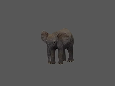 Realistic 3D Rendering of a Reptile Lizard on Gray Background Surface 3d model