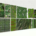 Diverse Living Plant Wall Designs With Varied Greenery For Indoor Outdoor Spaces