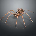 Brown Patterned Spider With Long Legs On Gray Surface Showing Reflection