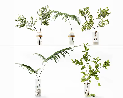 Indoor Decorative Bonsai Plants in Transparent Glass Vases with Fresh Green Leaves 3d model