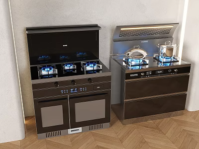 Integrated stove range hood gas stove kitchenware hood stove 3d model