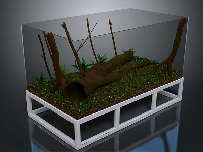 Indoor Green Plants In Transparent Glass Terrarium With Moss Branches And Wooden Log 3d model