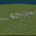 Pink and White Water Lilies Blooming on Green Lily Pads Over Calm Water Surface