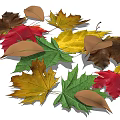 Colorful Maple Leaves Garden Decor With Red Yellow Green Brown Tones Arranged In A Row