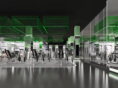Modern Fitness Gym Interior With Various Equipment Mirror Walls And Green Grid Ceiling 3d model