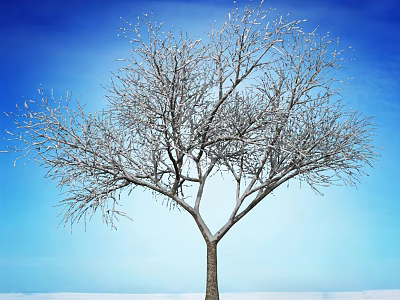 Snow Covered Bare Branches Tree Against Clear Blue Sky Winter Scene 3d model