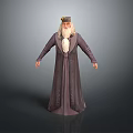 Wise Looking Game Movie Character Wearing Long Robe Hat And White Beard