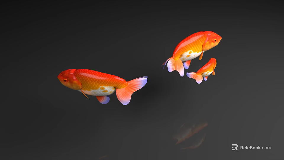 Three Orange Koi Fish Swimming In Dark Background With Clear Reflections 3d model 