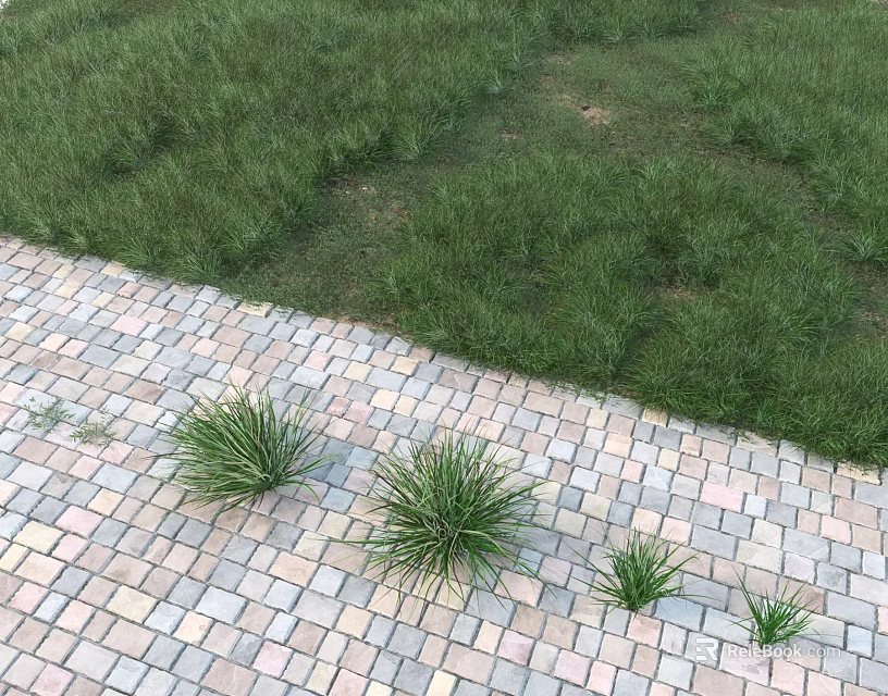 Small Green Grass Growing Between Colored Brick Pavement And Background Large Grassland 3d model 