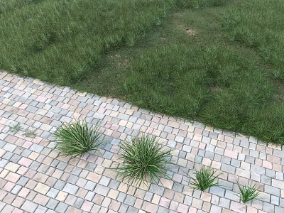 Small Green Grass Growing Between Colored Brick Pavement And Background Large Grassland 3d model