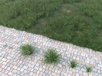 modern grassland 3d model