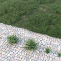 modern grassland 3d model