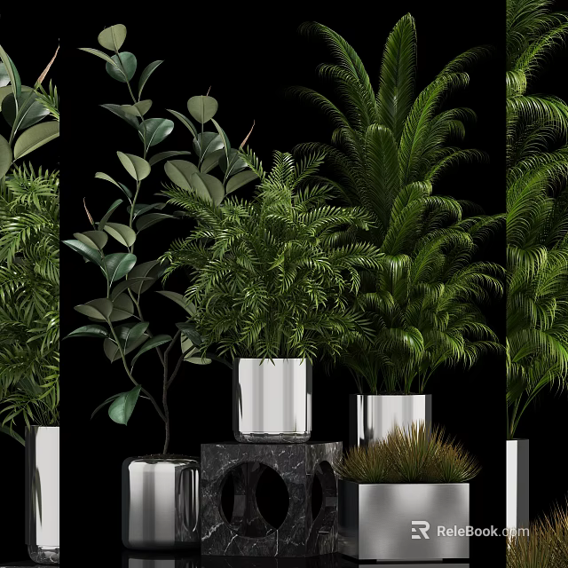 Stylish Bonsai Potted Plants With Lush Green Foliage Silver Metallic Pots And Decorative Display Stands 3d model 
