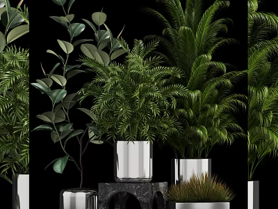 Stylish Bonsai Potted Plants With Lush Green Foliage Silver Metallic Pots And Decorative Display Stands 3d model