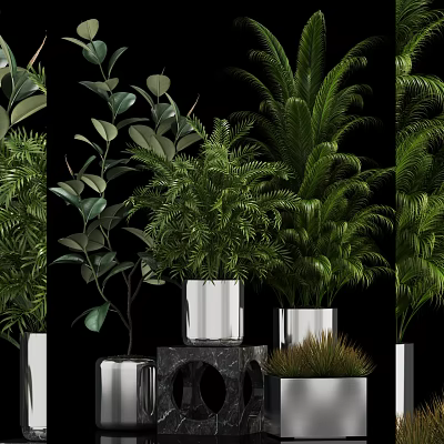 Stylish Bonsai Potted Plants With Lush Green Foliage Silver Metallic Pots And Decorative Display Stands 3d model