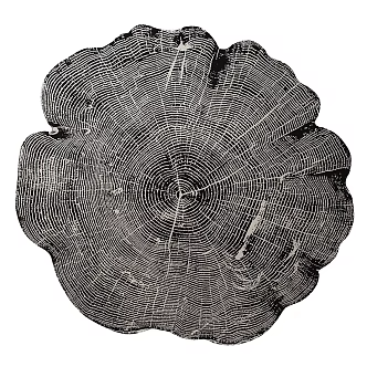 Roche Bobois Stakes Wall Decor 3d model