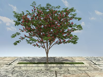 Arbor With Green Leaves Red Flowers In Stone Planter On Pavement Under Blue Sky 3d model