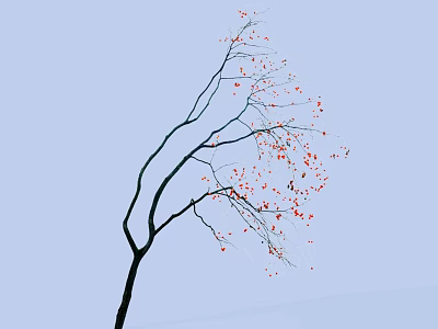 Tall Arbor Tree With Slender Branches And Red Blossoms On Light Blue Background 3d model