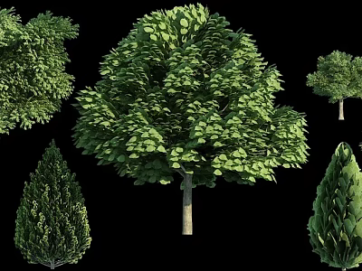 Various Arbor Trees with Lush Green Foliage and Different Trunk Shapes 3d model