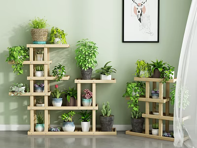 Indoor Garden Plant Display With Wooden Multi tiered Shelves And Green Potted Plants 3d model