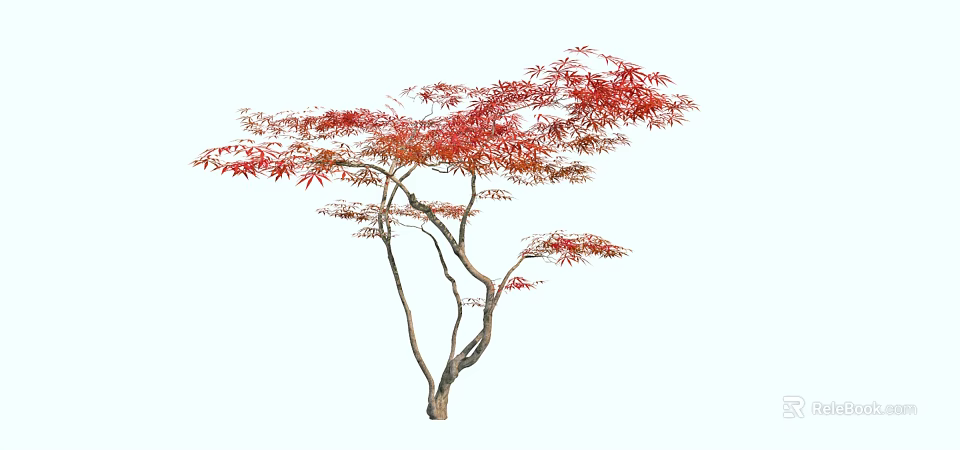 Autumn Arbor With Vibrant Red Leaves And Brown Branches On White Background 3d model 