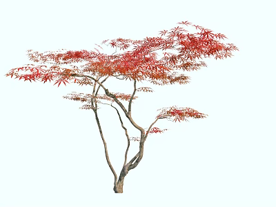 Autumn Arbor With Vibrant Red Leaves And Brown Branches On White Background 3d model