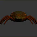 Realistic 3D Spider Model With Orange Brown Color And Multiple Legs