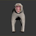 Monkey Monkey Cartoon Monkey Anime Monkey Stylized Monkey Fantasy Style Monkey Toy 3d model