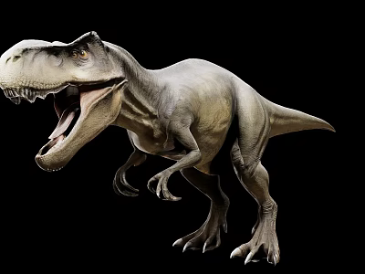 Realistic T-Rex Dinosaur Doll with Open Mouth Sharp Teeth Black Background 3d model