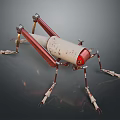 Mechanical Grasshopper Model With Metallic Legs Red Beige Color And Joint Parts