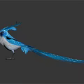 Vibrant Blue Bird With Spread Wings White Belly And Orange Beak On White Background