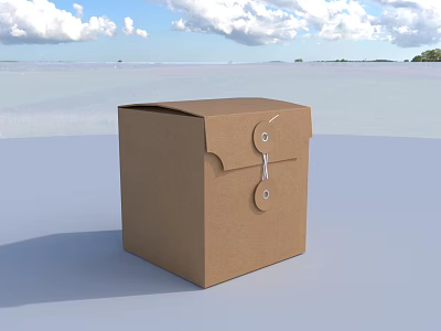 Decorative Ornament Set in Brown Paper Box with Round Fasteners and White Straps 3d model