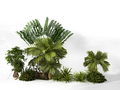 Beautiful Various Green Plants on White Background Including Large Leaf and Small Shrub Plants 3d model