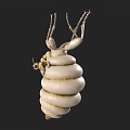 Unique White Spiral Structure With Top Leg Like Appendages And Textured Surface