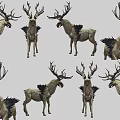 Mythical Winged Deer With Large Antlers Rocky Textures Various Poses In Game And Movie Scenes