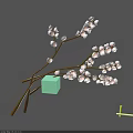 Plum Blossom Branches With Pink Flowers And Brown Stems