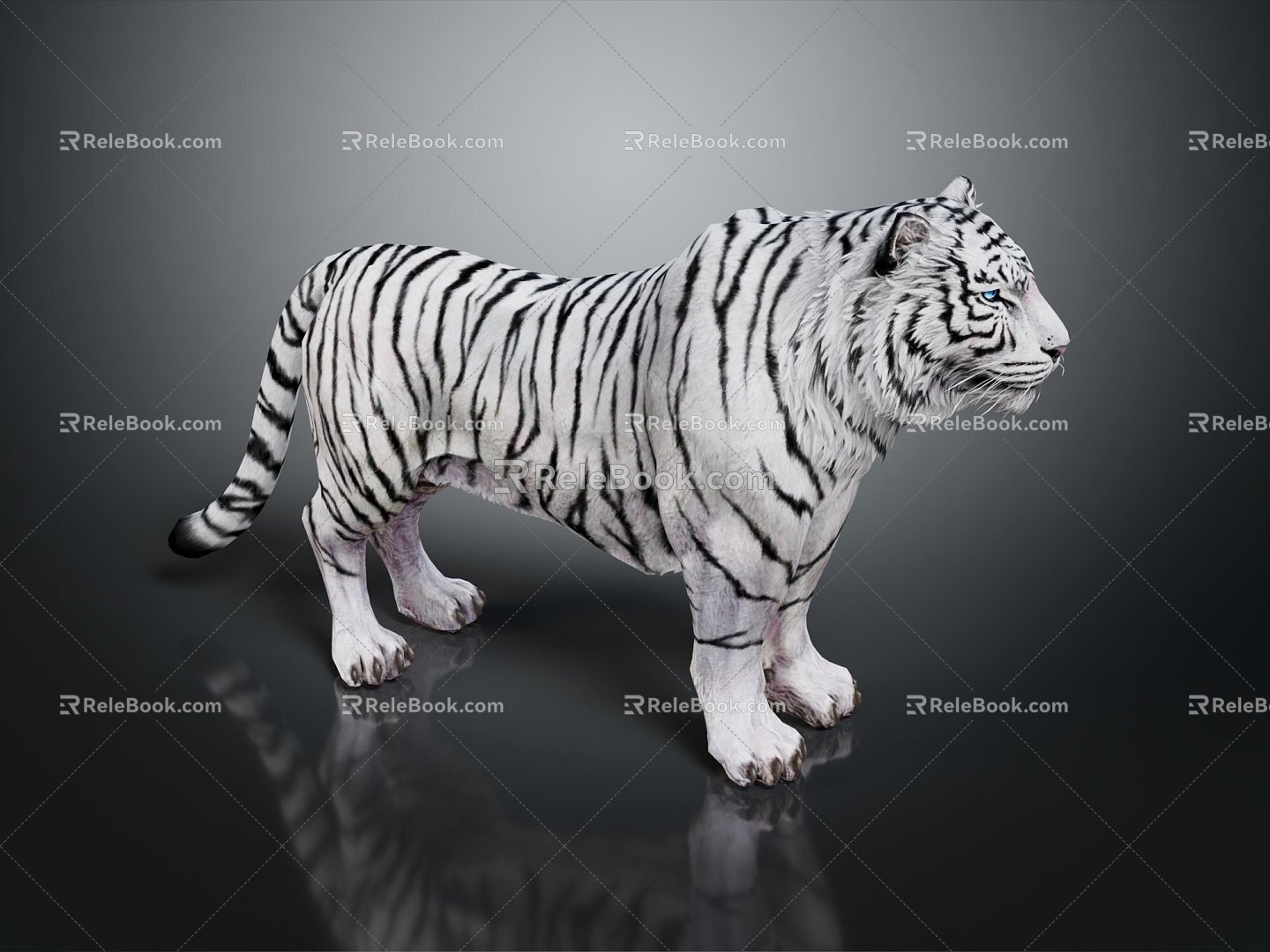 Modern Tiger White Tiger White Tiger 3d model