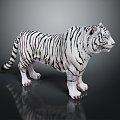 Modern Tiger White Tiger White Tiger 3d model