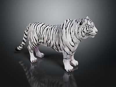 Modern Tiger White Tiger White Tiger 3d model